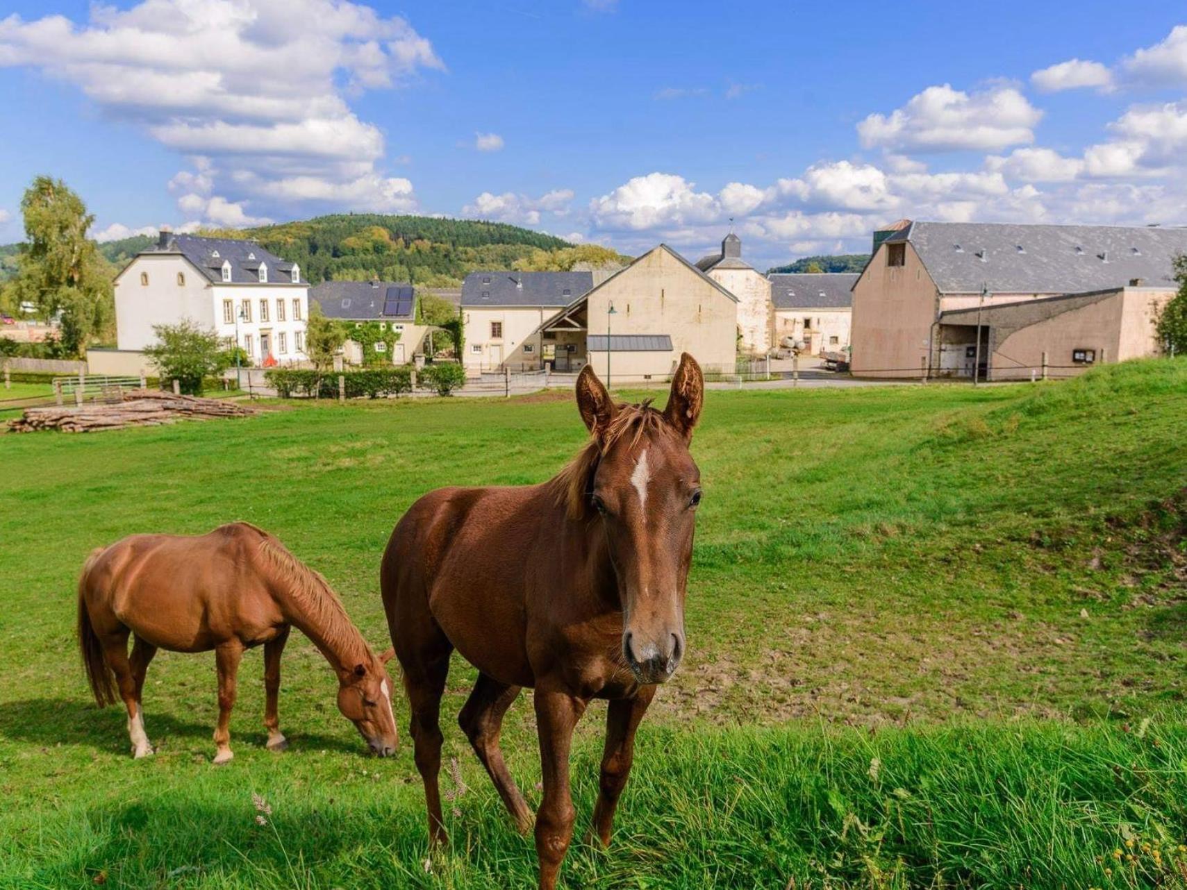 Cottage House Weyer - Mare&Filly Room Экстерьер фото